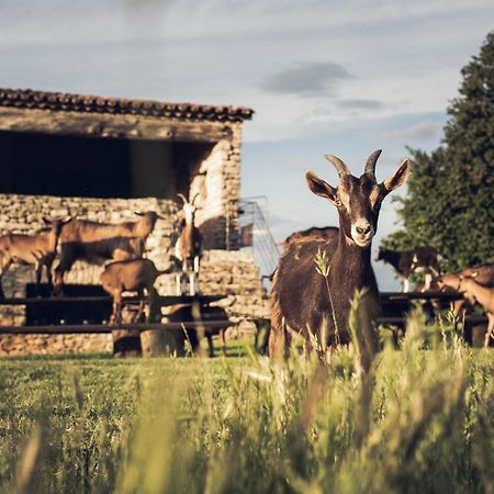 Le Domaine Du Castellas Sivergues Exterior photo